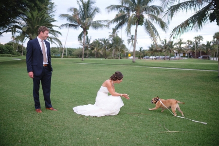 Loja: Pet of Honor - Imagem de Destaque